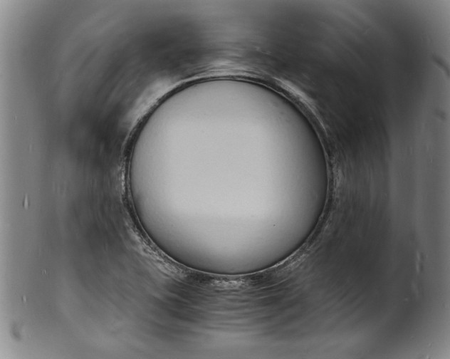 X0000102221415200808081306