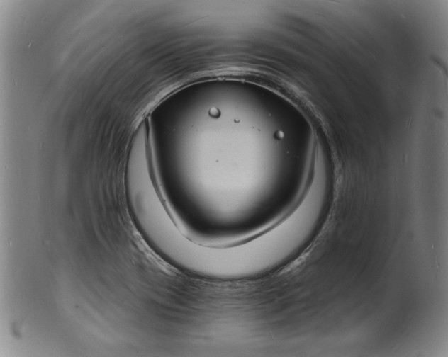 X0000102221417200808081306