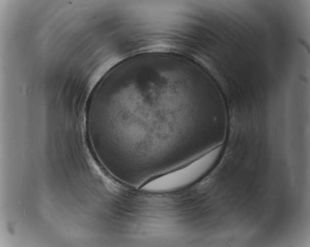 X0000102221418200808081306