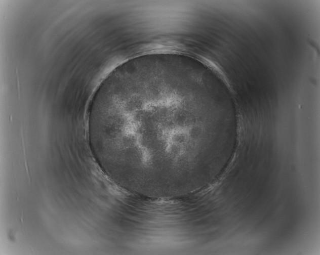 X0000102221419200808081306