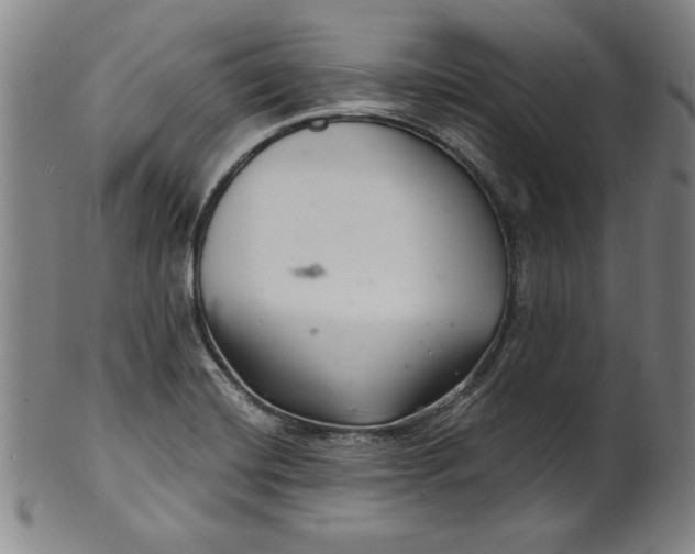 X0000102221420200808081306