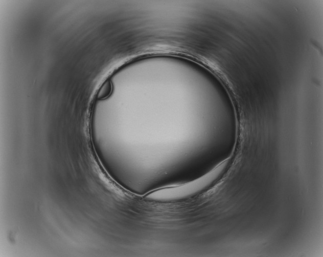 X0000102221421200808081306