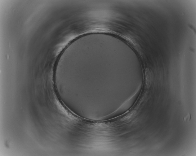 X0000102221422200808081306