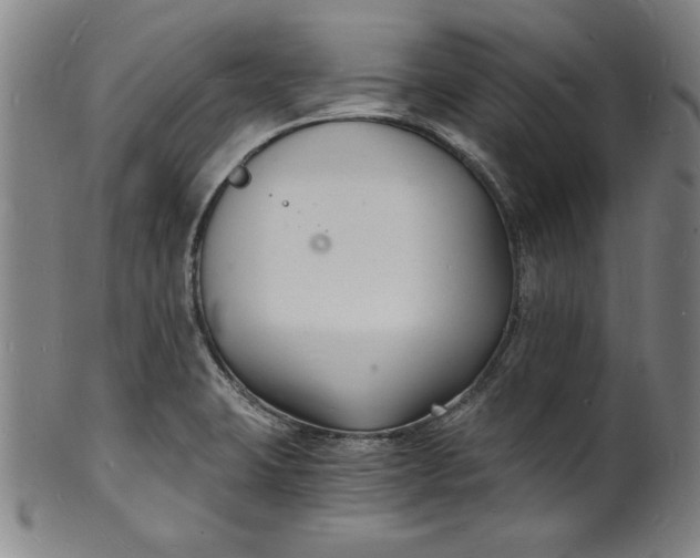 X0000102221423200808081306