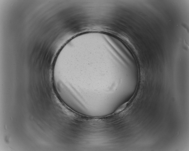 X0000102221424200808081306