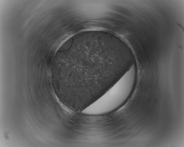 X0000102221425200808081306