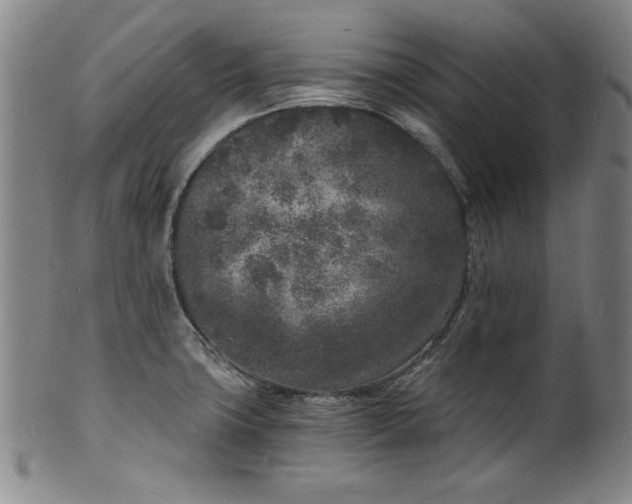 X0000102221427200808081306