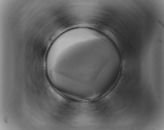 X0000102221428200808081306