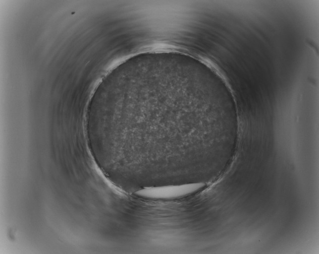 X0000102221429200808081306