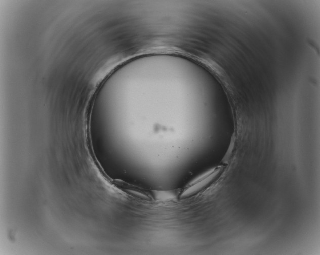 X0000102221430200808081306