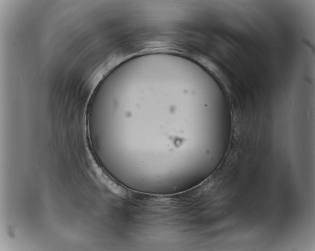 X0000102221431200808081307