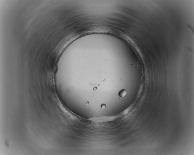 X0000102221433200808081307