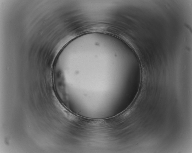 X0000102221434200808081307