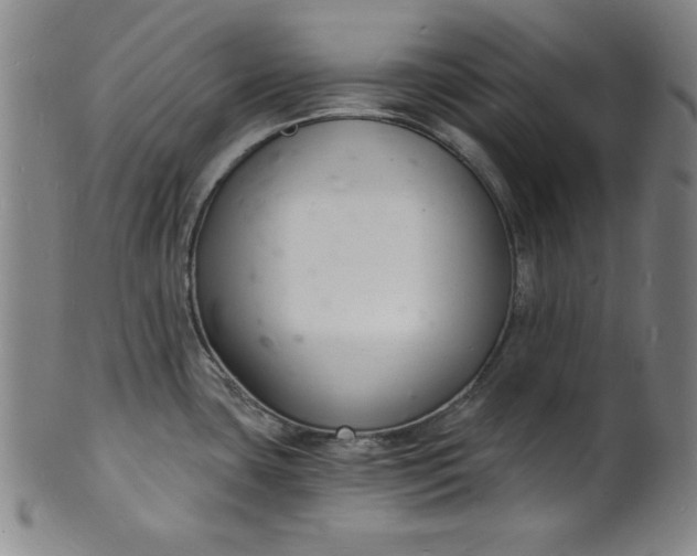 X0000102221435200808081307