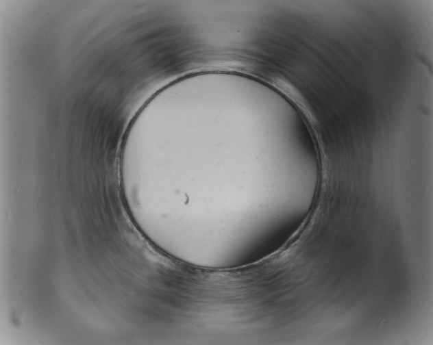 X0000102221436200808081307