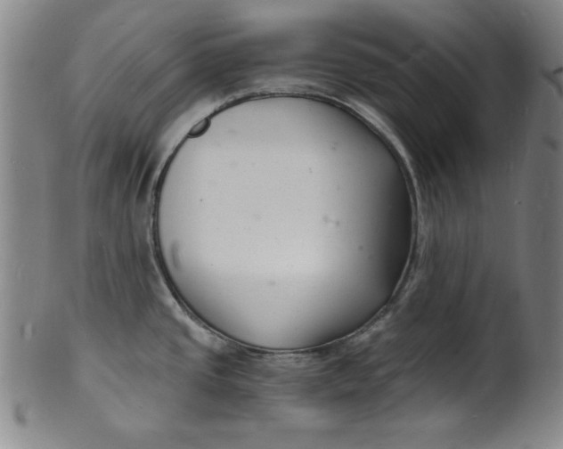 X0000102221437200808081307