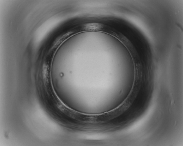 X0000102221438200808081307