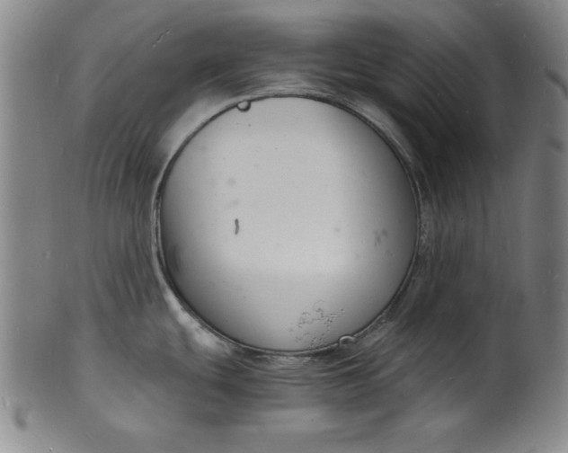 X0000102221439200808081307