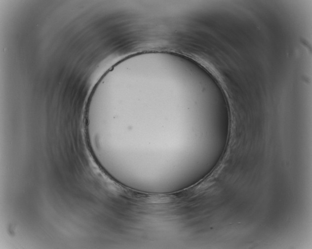 X0000102221440200808081307