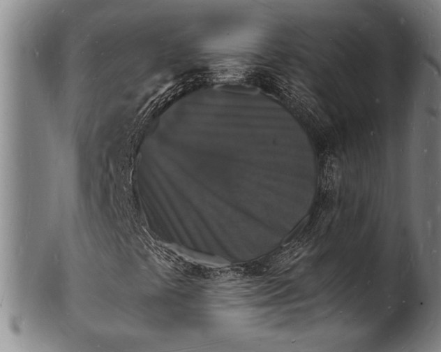 X0000102221441200808081306