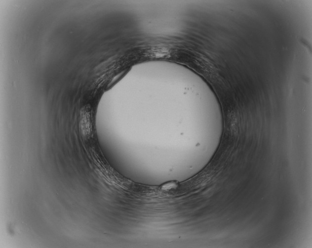 X0000102221442200808081306