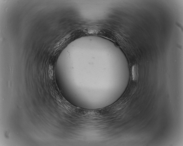 X0000102221443200808081306