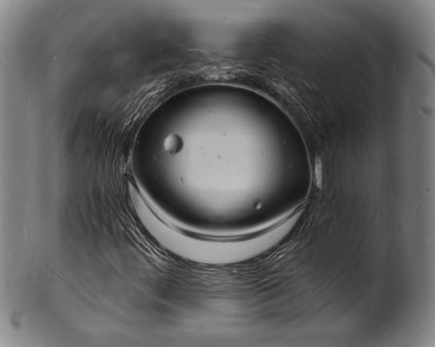 X0000102221444200808081306