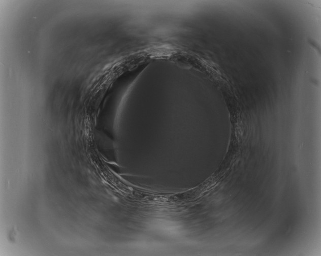 X0000102221445200808081306