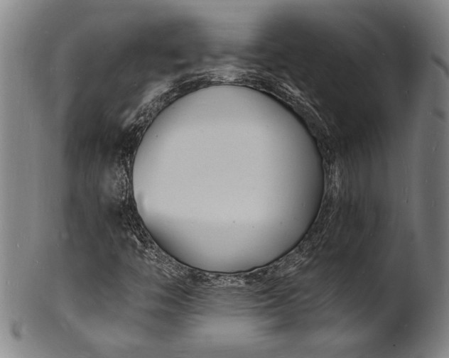 X0000102221446200808081306