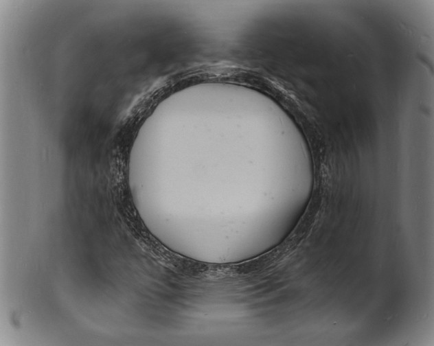 X0000102221447200808081306