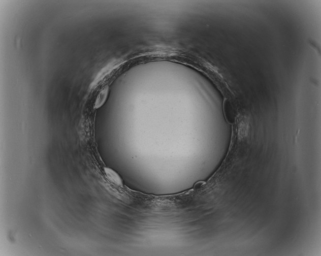 X0000102221448200808081306