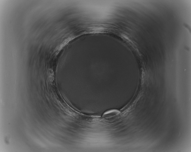 X0000102221449200808081306