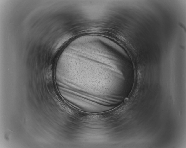 X0000102221450200808081306