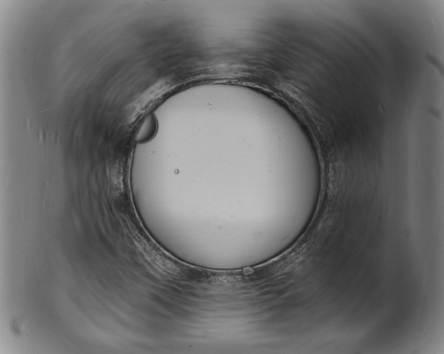 X0000102221451200808081306