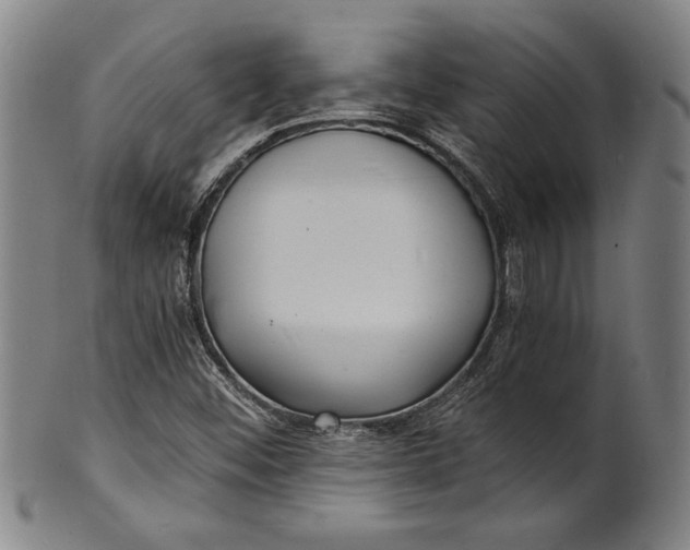 X0000102221452200808081306