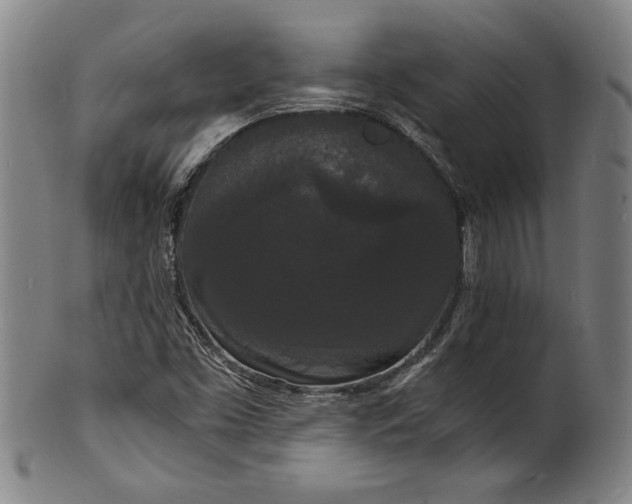 X0000102221453200808081306