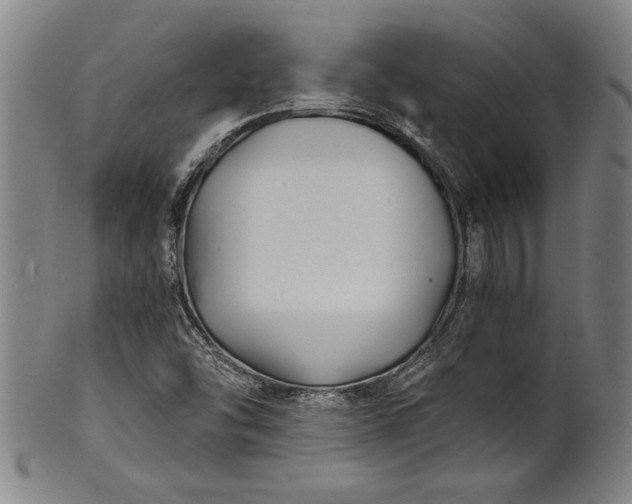 X0000102221454200808081306