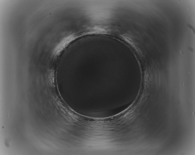 X0000102221455200808081306