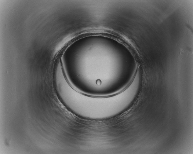 X0000102221456200808081306