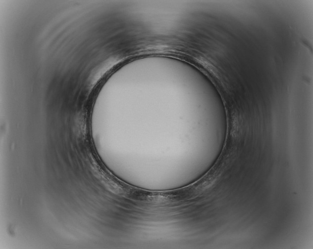 X0000102221458200808081306