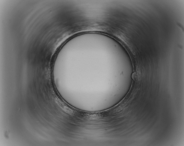 X0000102221460200808081306