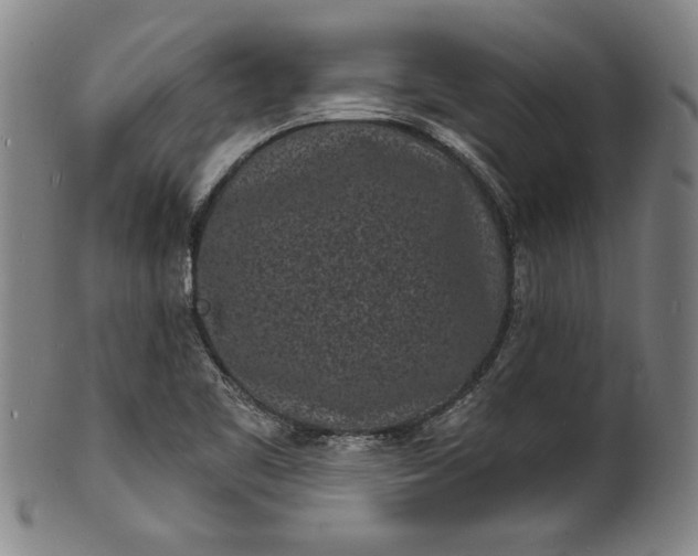 X0000102221461200808081306