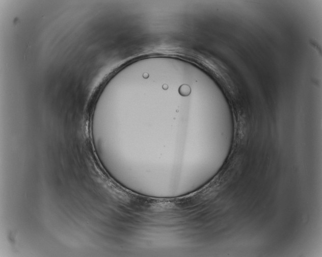 X0000102221462200808081306