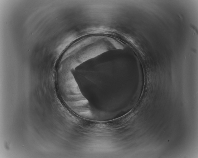 X0000102221463200808081306