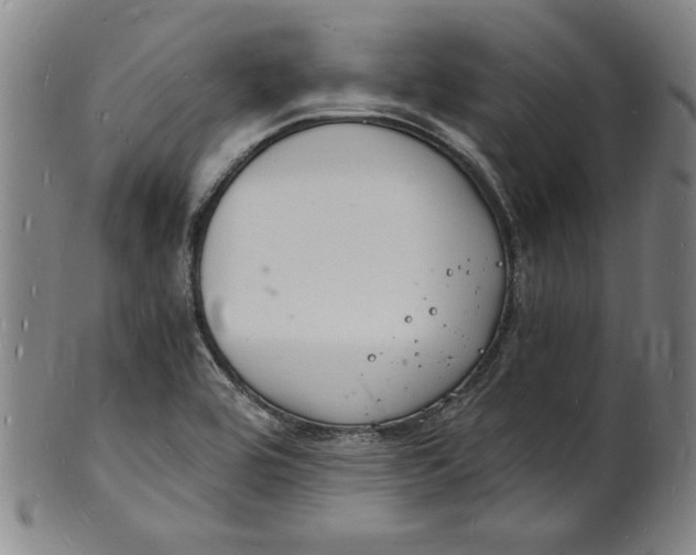 X0000102221464200808081306