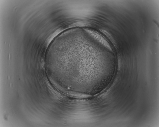 X0000102221465200808081306