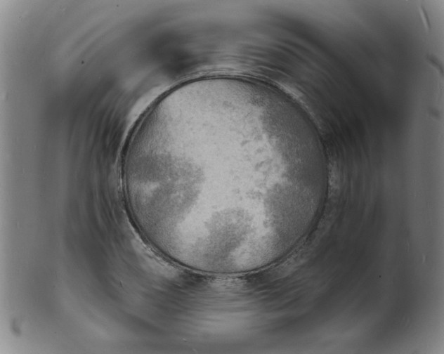 X0000102221466200808081306