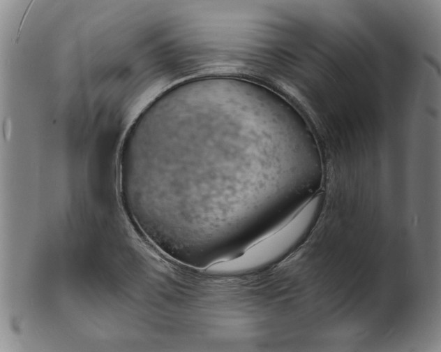 X0000102221467200808081306