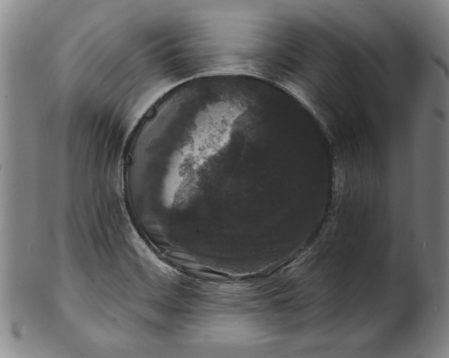 X0000102221468200808081306