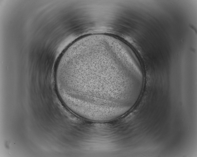 X0000102221469200808081306